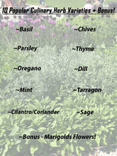 Load image into Gallery viewer, Heirloom Herb Seed Variety Pack by Eretz ~ 10 Popular Culinary Herbs Plus Bonus Flowers & Plant Markers!