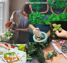 Load image into Gallery viewer, Heirloom Herb Seed Variety Pack by Eretz ~ 10 Popular Culinary Herbs Plus Bonus Flowers & Plant Markers!