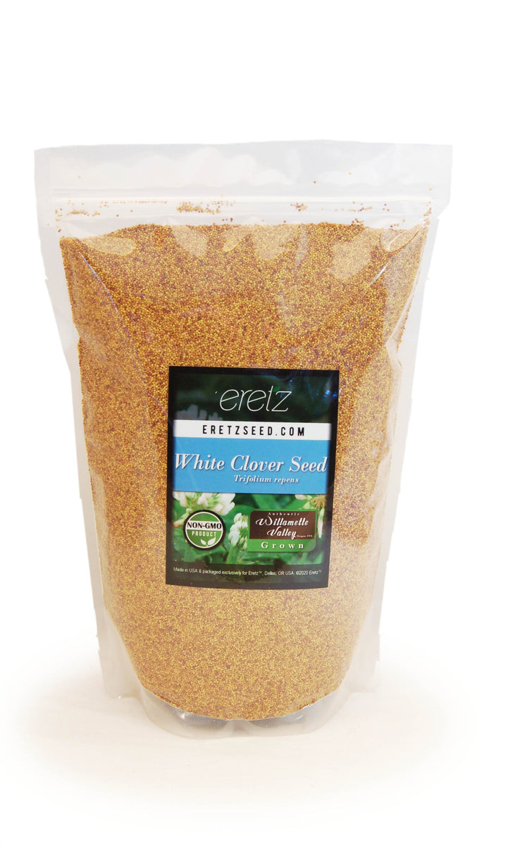 Ladino White Clover Seed | Eretz Seed – Eretz Home
