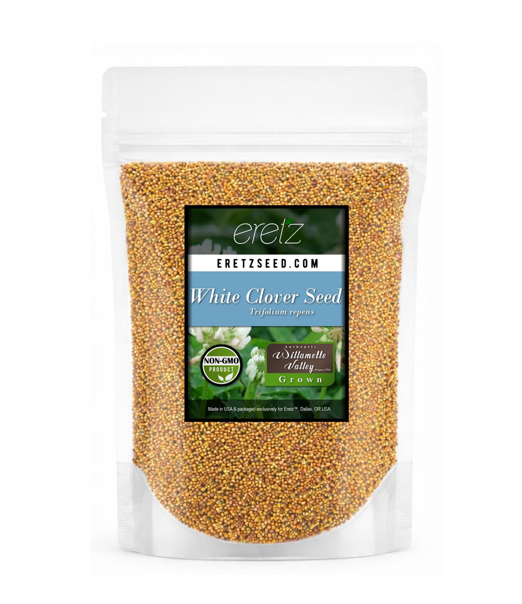Ladino White Clover Seed | Eretz Seed – Eretz Home