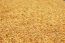 Load image into Gallery viewer, Crimson Clover Seed