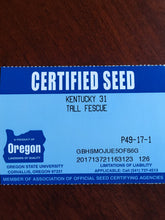 Load image into Gallery viewer, Kentucky 31 Tall Fescue Grass Seed (Oregon State Certified!)