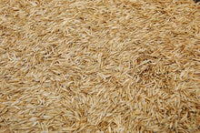 Load image into Gallery viewer, Kentucky 31 Tall Fescue Grass Seed (Oregon State Certified!)