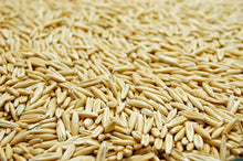 Load image into Gallery viewer, White Oat Grain Seed