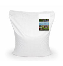 Load image into Gallery viewer, Crimson Clover Seed