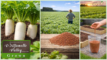 Load image into Gallery viewer, Daikon Radish Seed by Eretz - Choose Size! Willamette Valley, Oregon Grown Pure Seed.