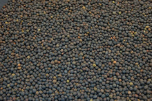 Load image into Gallery viewer, Hairy Vetch Seed