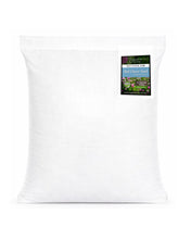 Load image into Gallery viewer, Red Clover Legume Seed