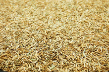 Load image into Gallery viewer, ProTurf  Perennial Ryegrass Grass Seed
