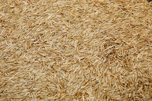 Load image into Gallery viewer, Kentucky 31 Tall Fescue Grass Seed (Oregon State Certified!)