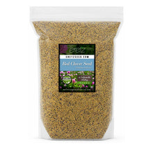Load image into Gallery viewer, Red Clover Legume Seed