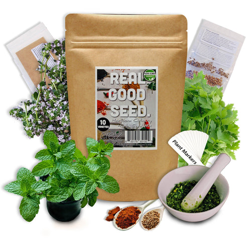 Heirloom Herb Seed Variety Pack by Eretz ~ 10 Popular Culinary Herbs Plus Bonus Flowers & Plant Markers!