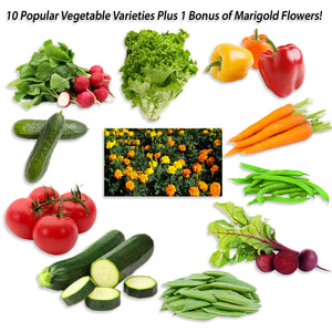 Eretz Vegetable Seed Variety Pack