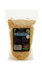 Load image into Gallery viewer, White Oat Seed by Eretz (1lb)
