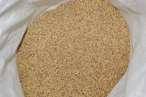 Red Clover Legume Seed