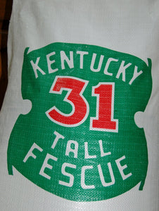 Eretz Kentucky 31 K31 Tall Fescue