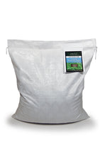 Load image into Gallery viewer, Annual Ryegrass by Eretz (10lb)