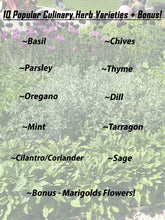 Load image into Gallery viewer, Heirloom Herb Seed Variety Pack by Eretz ~ 10 Popular Culinary Herbs Plus Bonus Flowers &amp; Plant Markers!